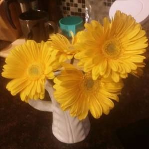 Meet your Posher, Kari